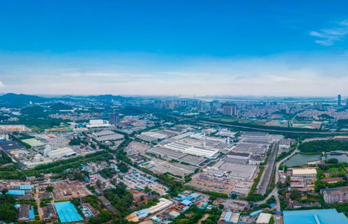 黃埔區2021年公辦小學招生地段劃分中的房產信息咨詢規定詳解